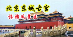 免费日各种小穴视频中国北京-东城古宫旅游风景区